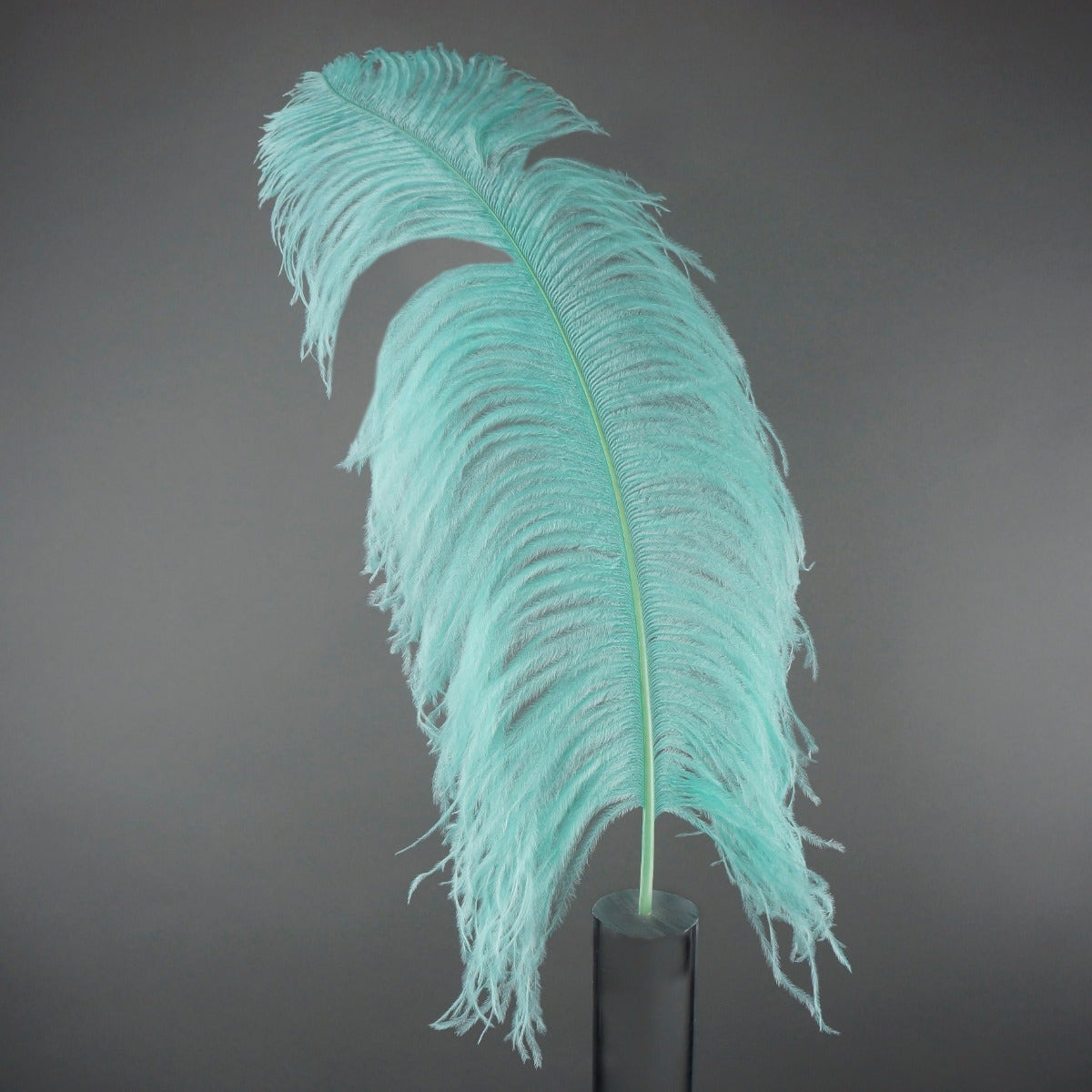 Bulk Ostrich Feathers-Damaged Femina - Mint