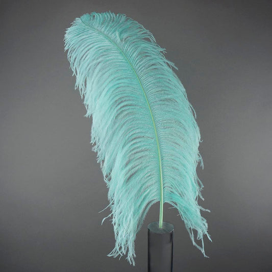 Large Ostrich Feathers - 20-25" Prime Femina Plumes - Mint