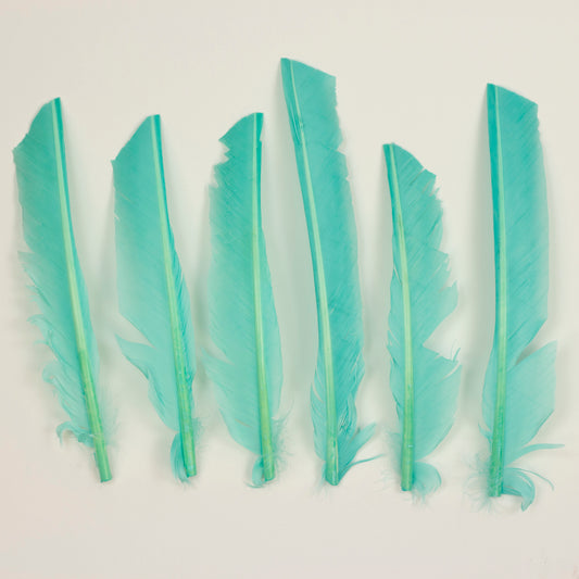 Mint Cut Turkey Pointer Feathers 8-12"