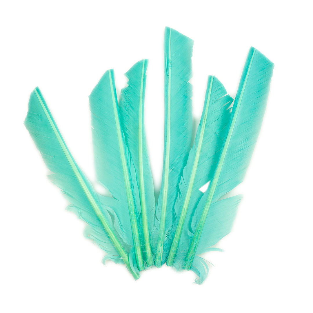 Mint Cut Turkey Pointer Feathers 8-12"