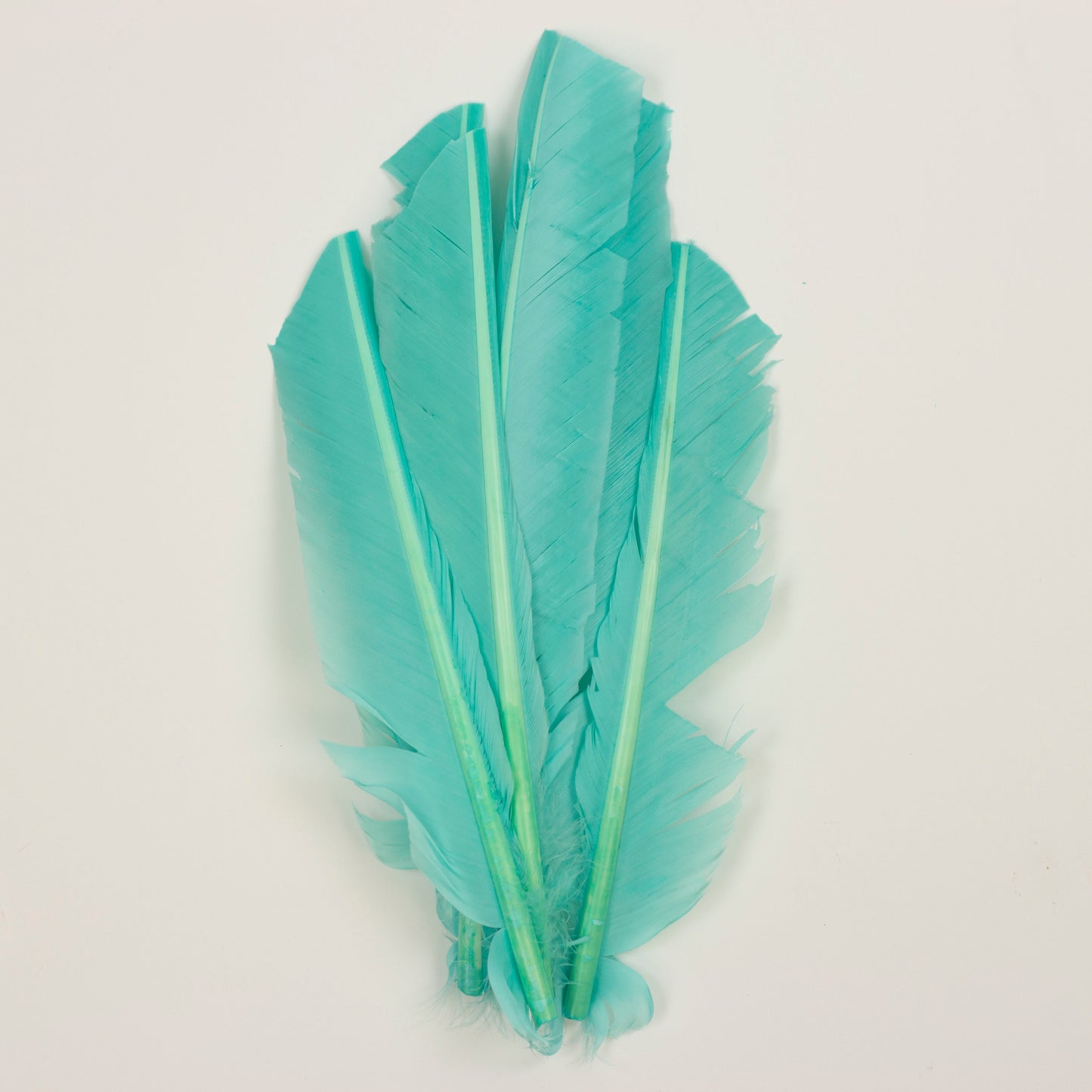 Mint Cut Turkey Pointer Feathers 8-12"