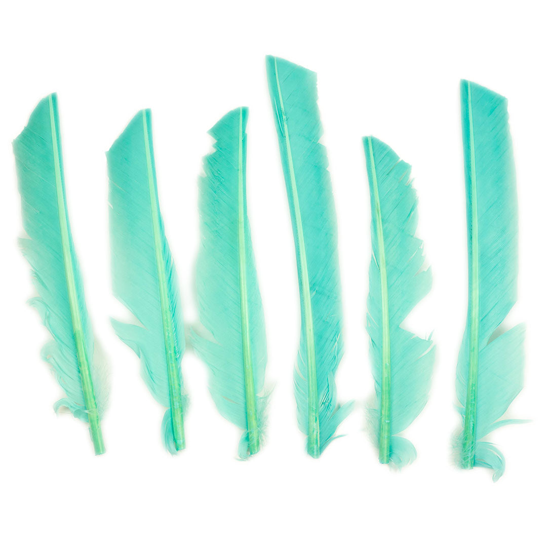 Mint Cut Turkey Pointer Feathers 8-12"