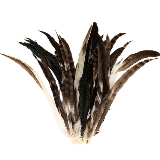 Strung Black Feathers - Small Short Rooster tail feathers, coque feathers