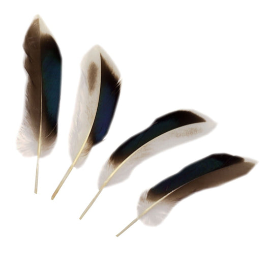 Natural Duck Feathers 3-5" - 10 pcs