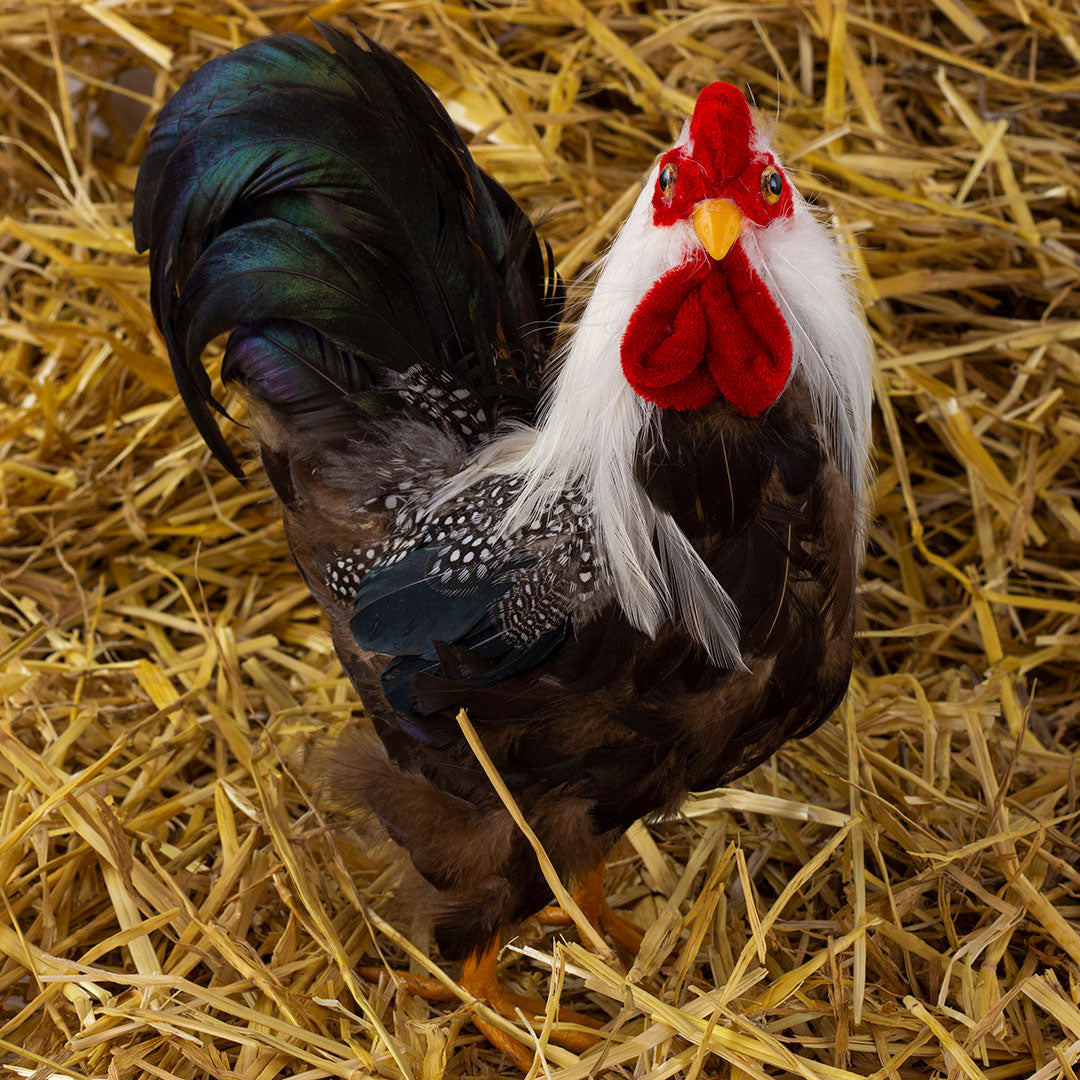 Modern Farmhouse Decor Rooster | Stuffed Rooster Country Decoration ...