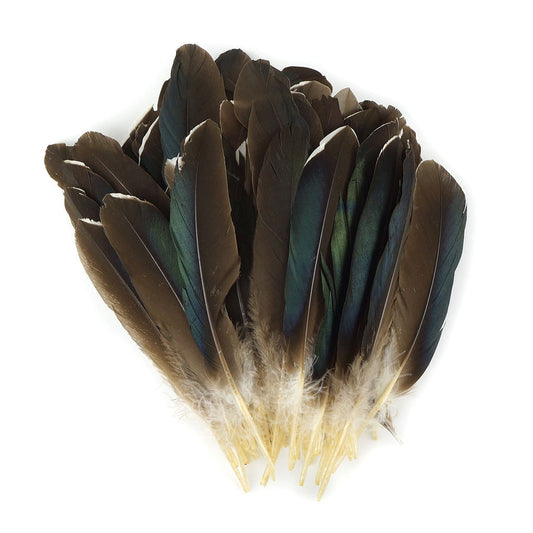 Goose Favion Feathers Natural