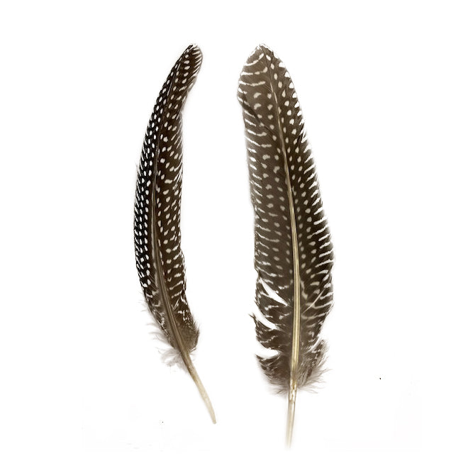 Guinea Feather Rounds - Natural