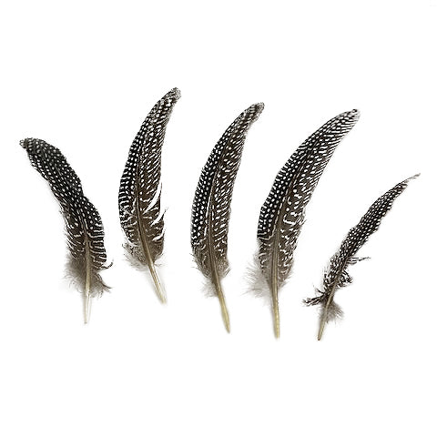 Guinea Feather Rounds - Natural