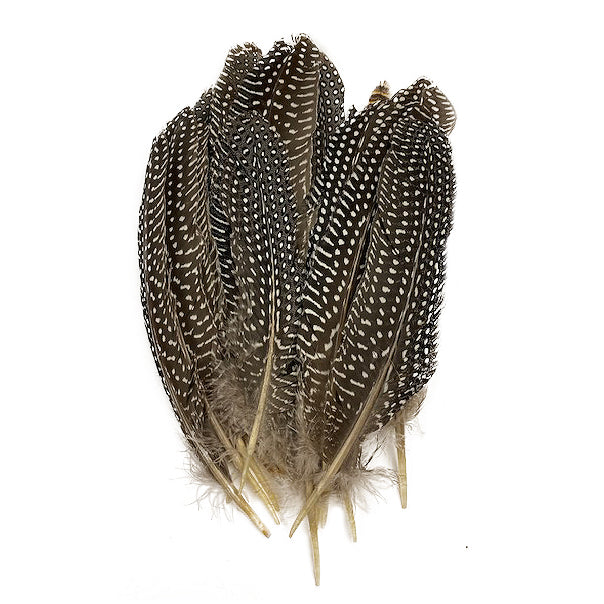 Guinea Feather Rounds - Natural