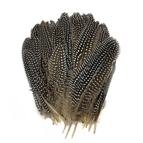 Guinea Feather Rounds - Natural