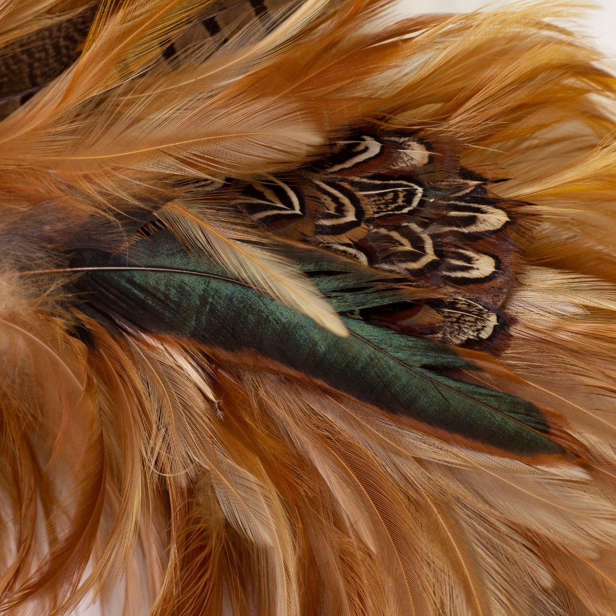 Natural Pheasant Feather Wreath - 22 inch