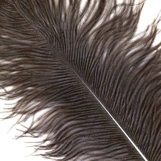 Large Ostrich Feathers - 17"+ Drabs - Natural