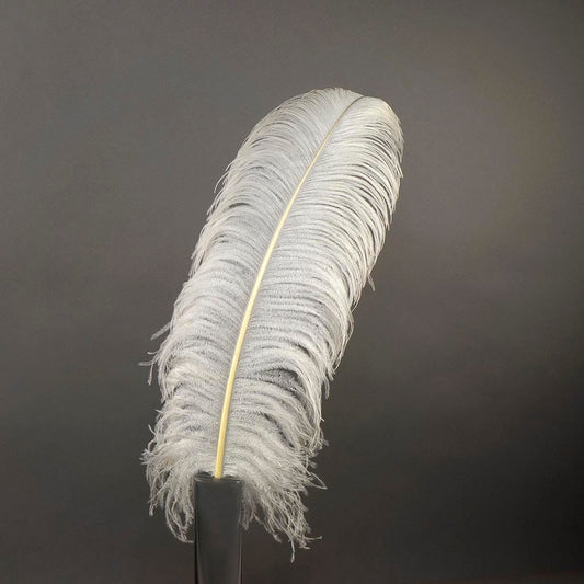 Large Ostrich Feathers - 20-25" Prime Femina Plumes - Natural