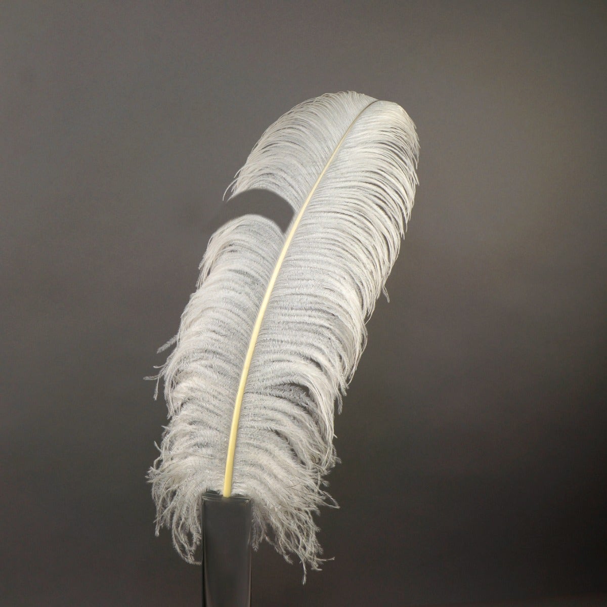 Bulk Ostrich Feathers-Damaged Femina - Natural