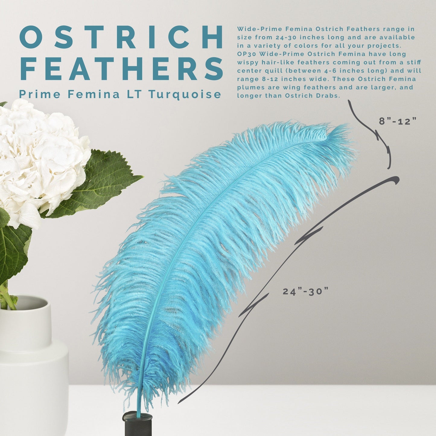 Large Ostrich Feathers - 24-30" Prime Femina Plumes - Light Turquoise