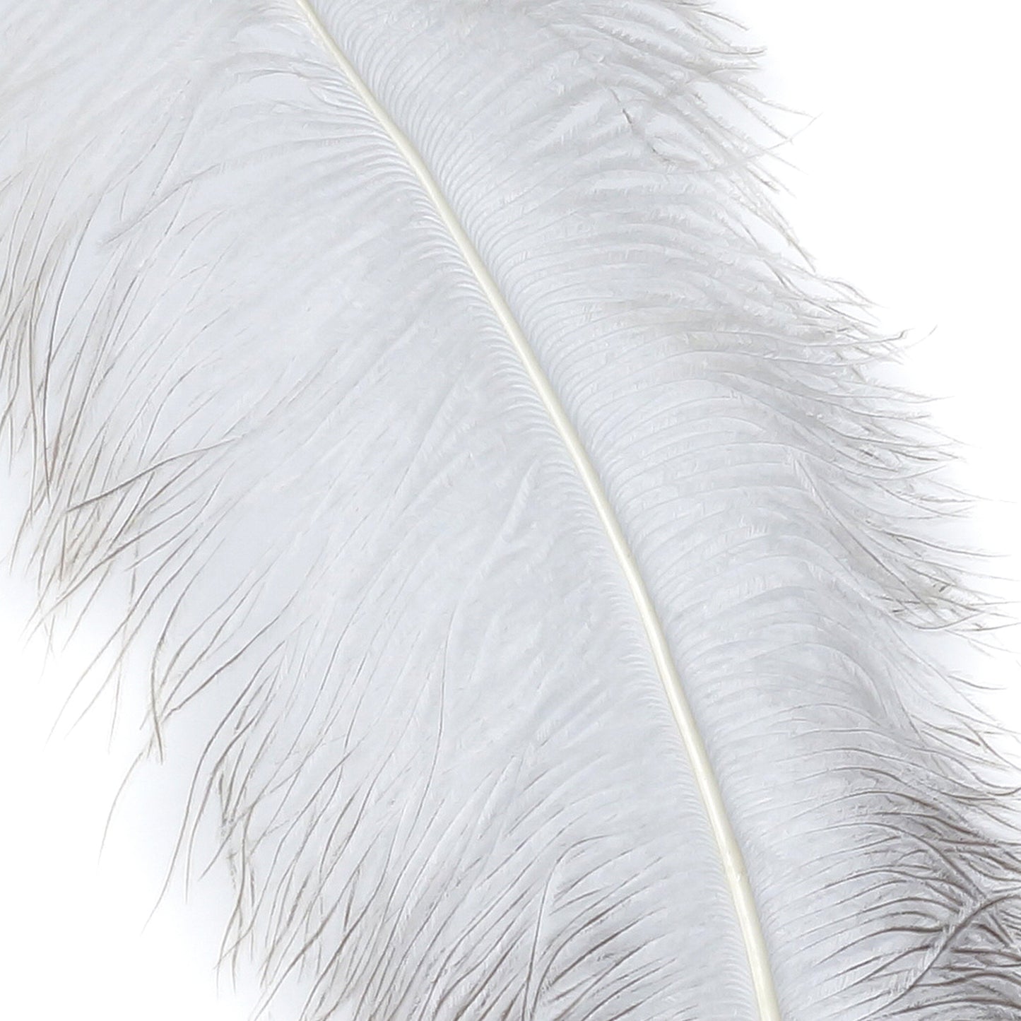 Large Ostrich Feathers - 18-24" Spads - Natural