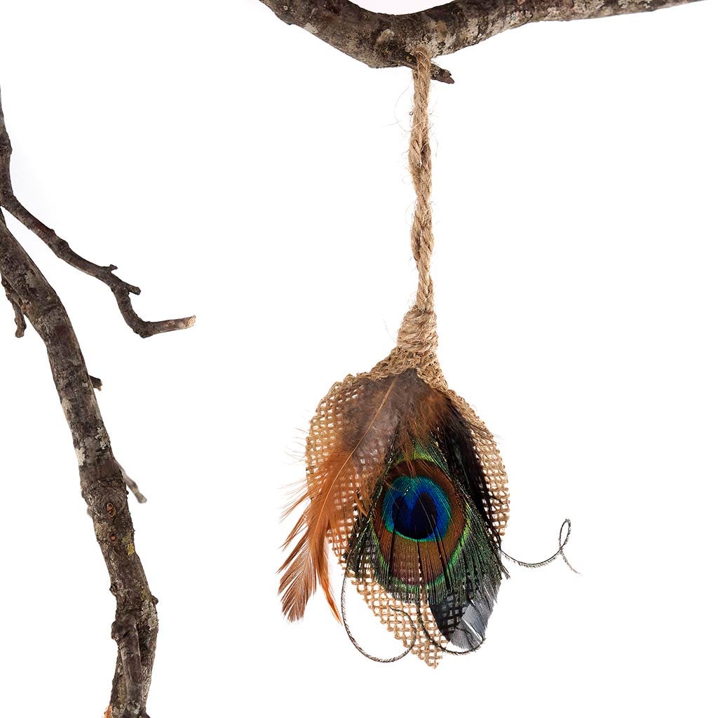 Peacock Feather Teardrop Ornament - Natural