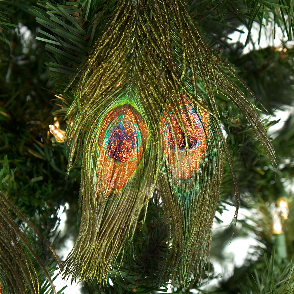 Peacock Feather Ornament - Natural - Copper