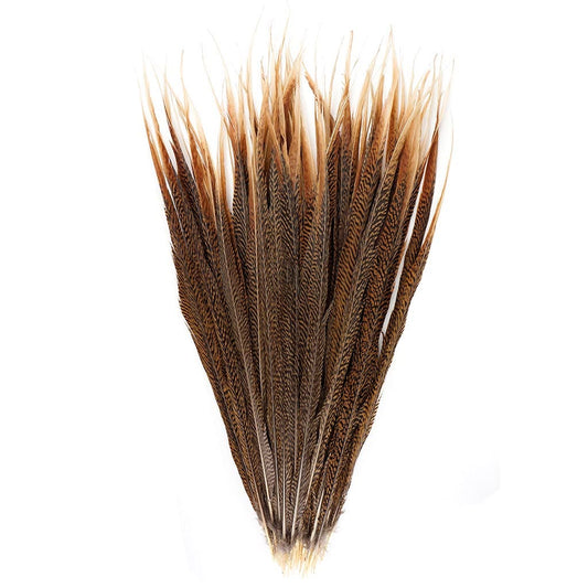 Bulk Golden Pheasant Tails Natural - 25" and Up