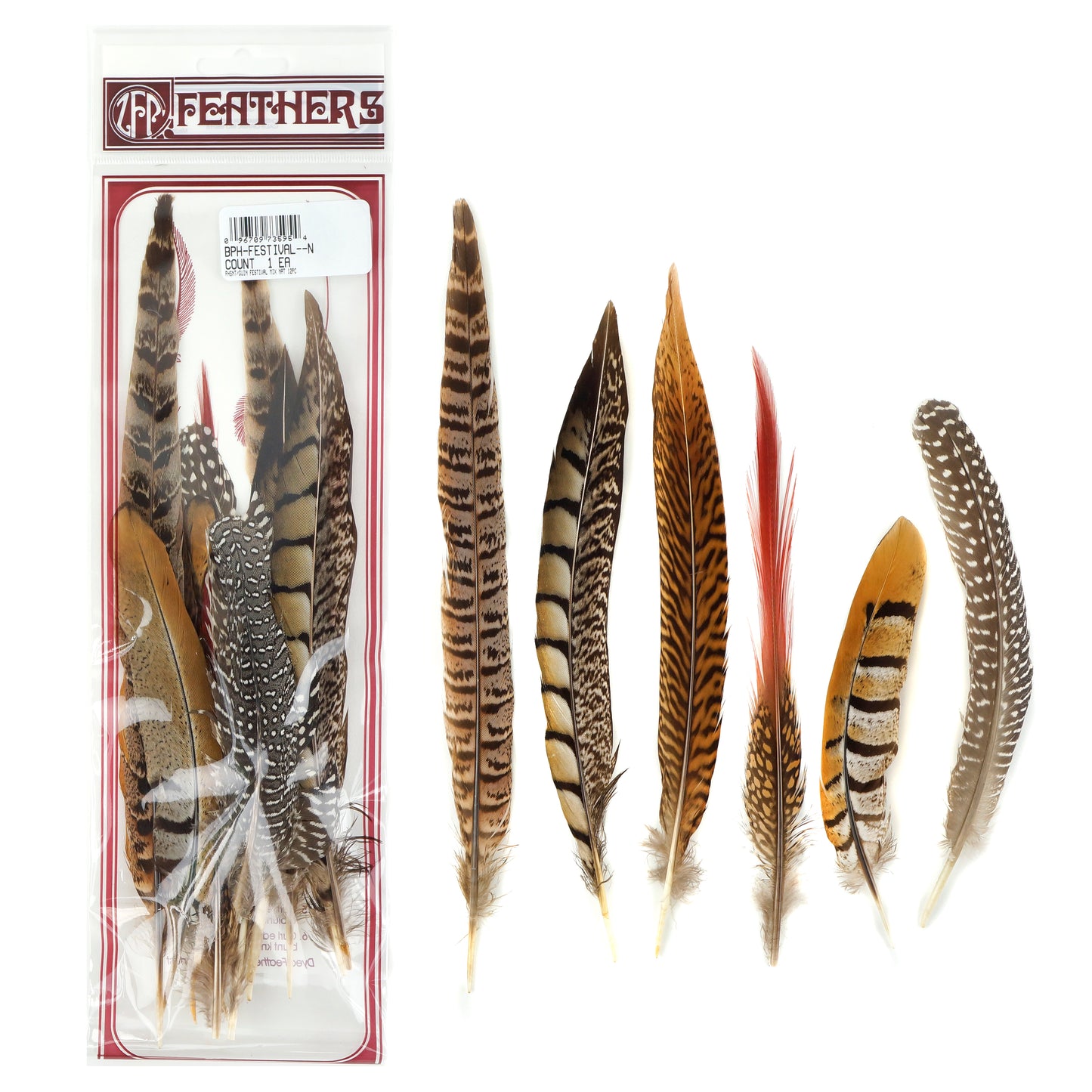 Natural Pheasant and Guinea Feather Festival Mix 6-12" - 12 pcs