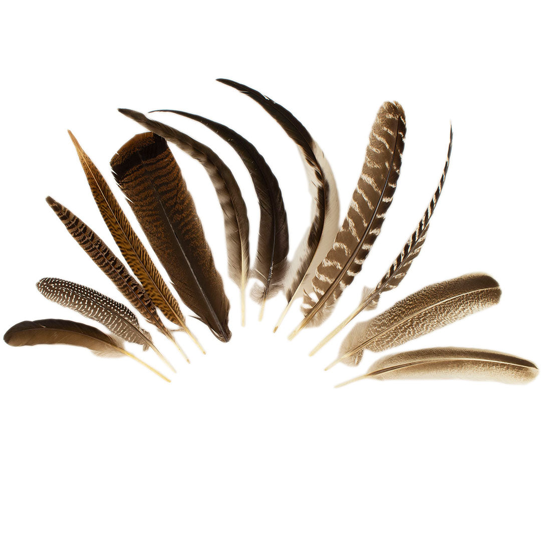 Pheasant Guinea Turkey Rooster Feather Festival Mix 6-16 inch 12pcs