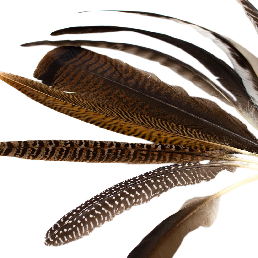 Pheasant Guinea Turkey Rooster Feather Festival Mix 6-16 inch 12pcs