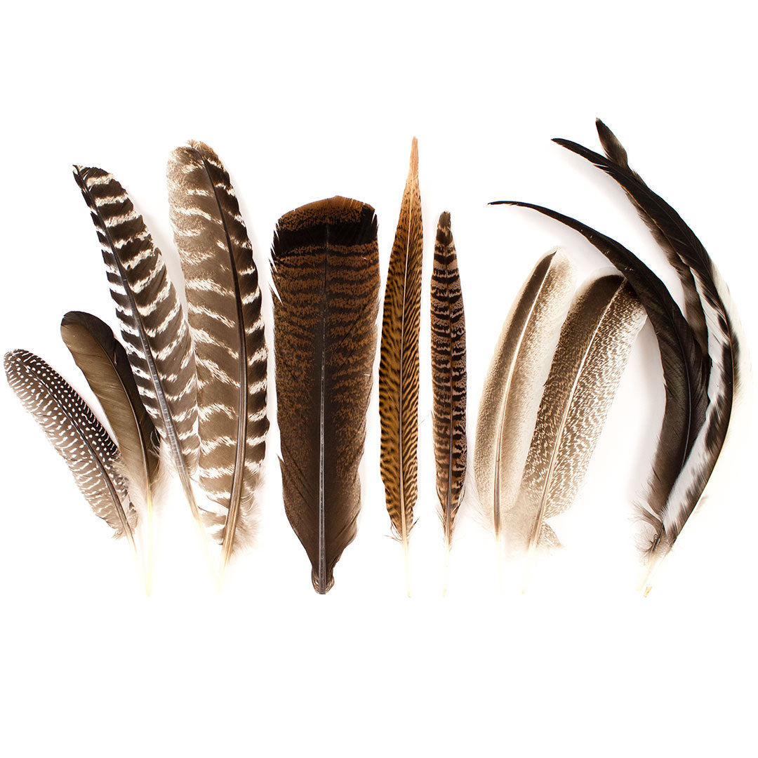 Pheasant Guinea Turkey Rooster Feather Festival Mix 6-16 inch 12pcs