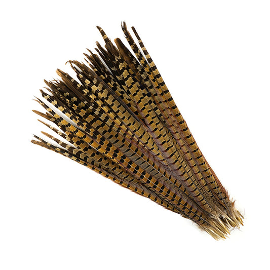 Bulk Ringneck Pheasant Tails - Natural - 18-20" (100pcs)