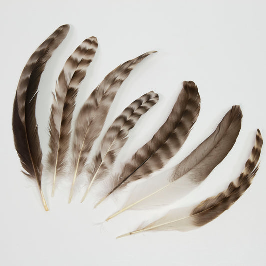 Rooster Chinchilla Round Feathers - 4 - 8" - Natural