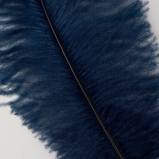 Large Ostrich Feathers - 17"+ Drabs - Navy