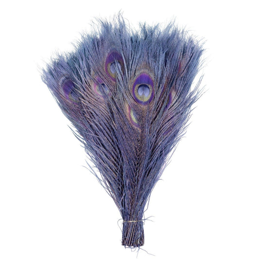 Peacock Tail Eyes Bleached Dyed Feathers - 8 -15"- Navy