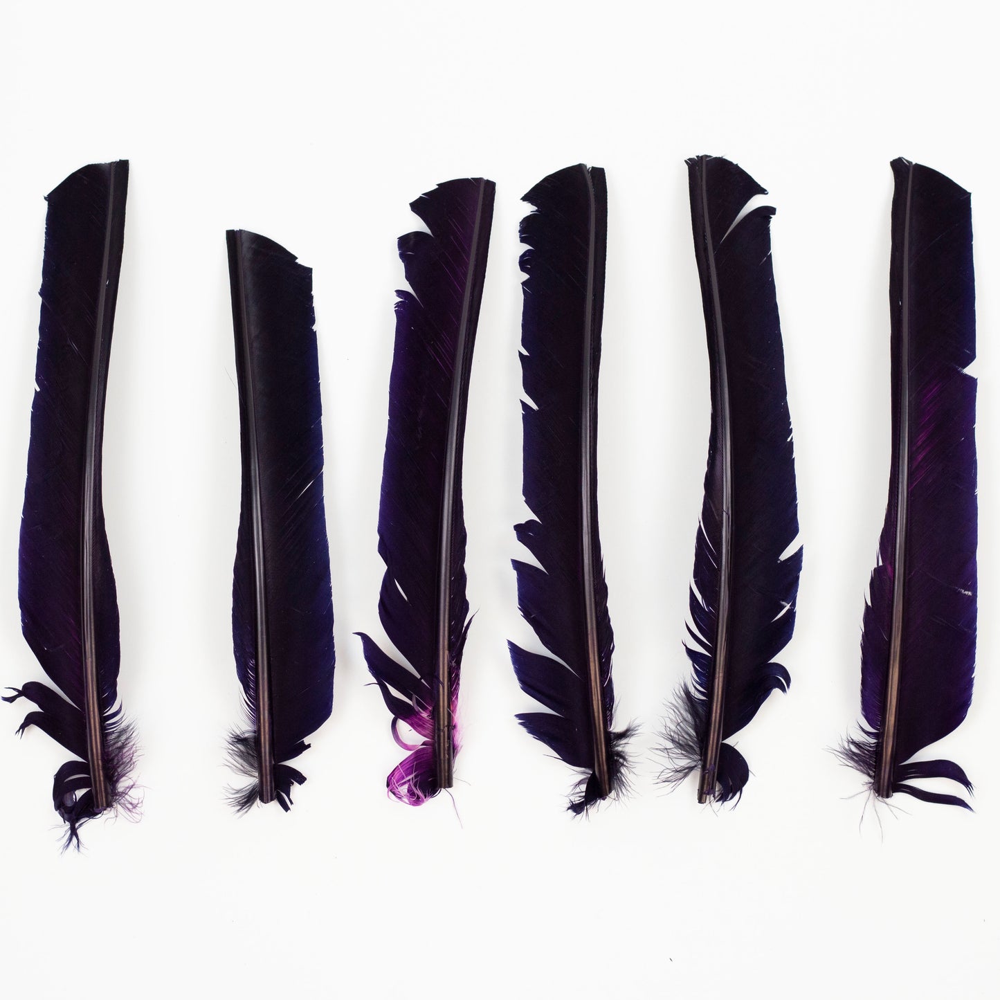 Navy Cut Turkey Pointer Feathers 8-12"