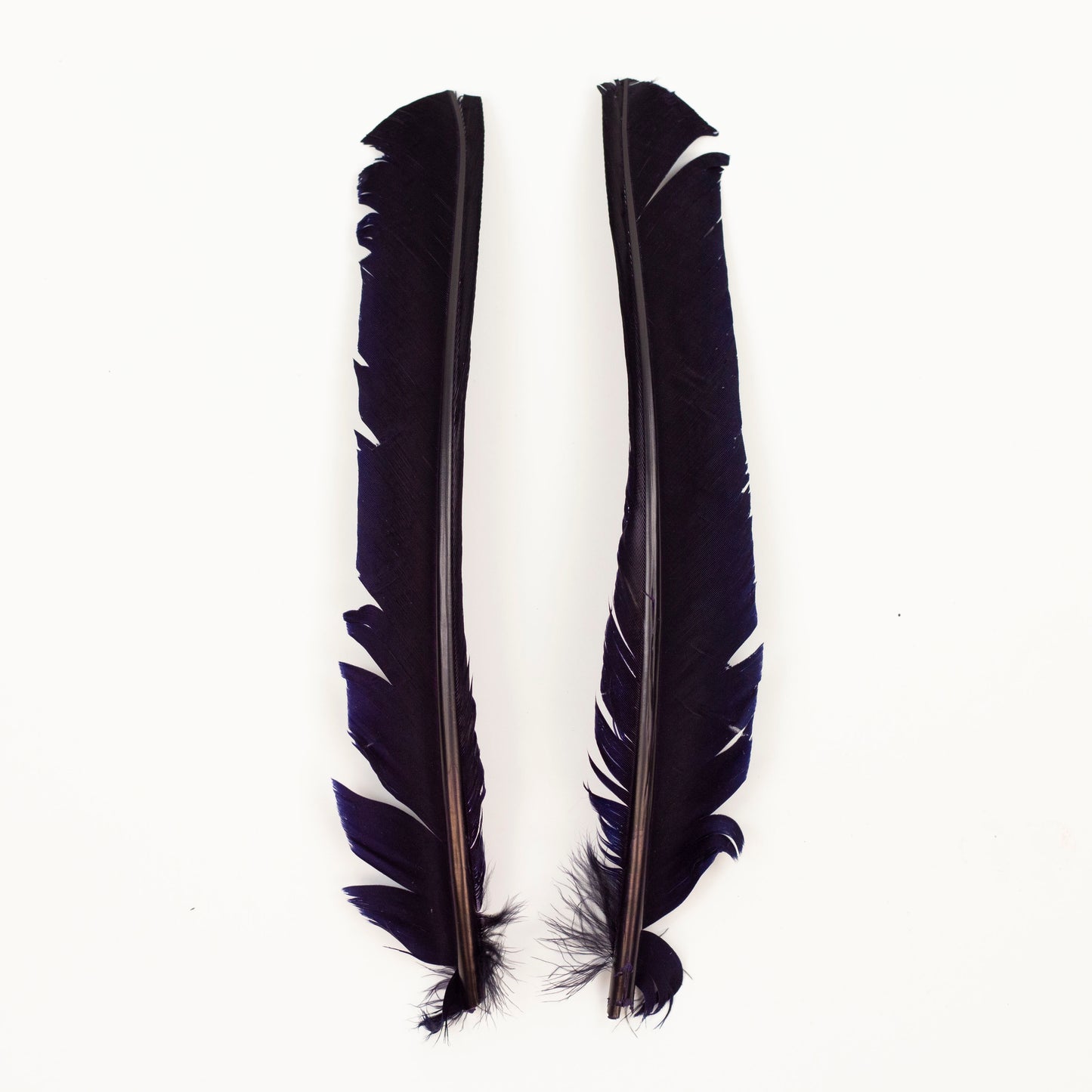Navy Cut Turkey Pointer Feathers 8-12"