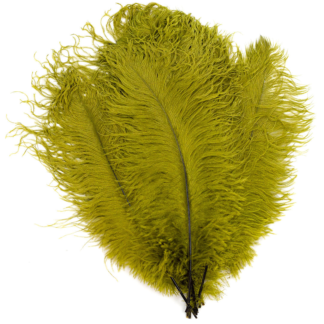 Large Ostrich Feathers - 17"+ Drabs - Olive