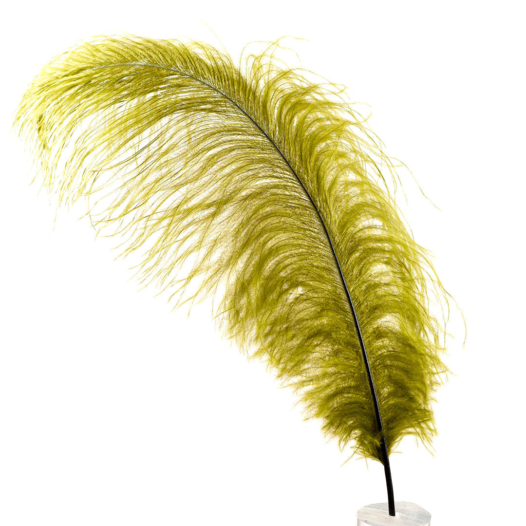 Large Ostrich Feathers - 17"+ Drabs - Olive