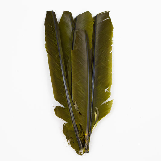 Olive Cut Turkey Pointer Feathers 8-12"
