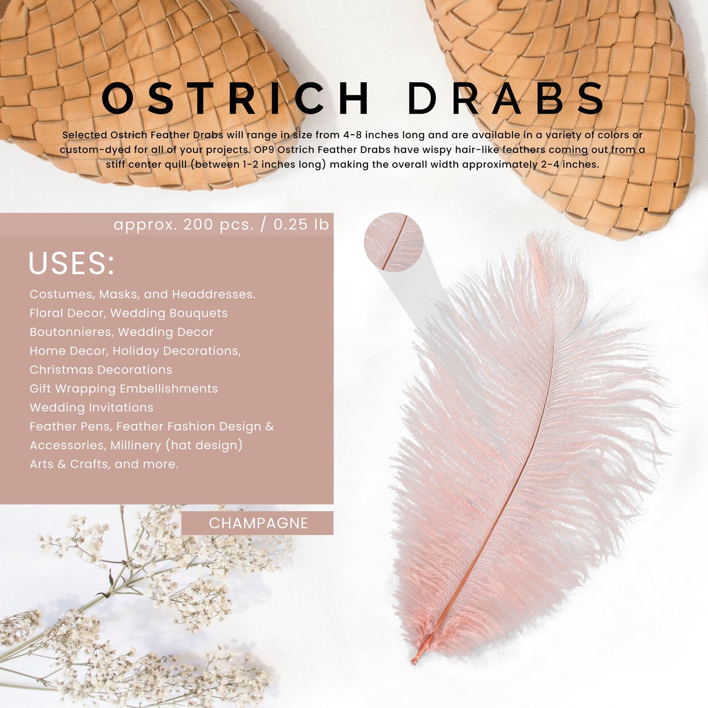 Ostrich Feathers 4-8" Drabs - Champagne