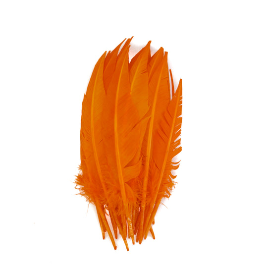 Mango Dagger Turkey Quill Feathers 9-12"