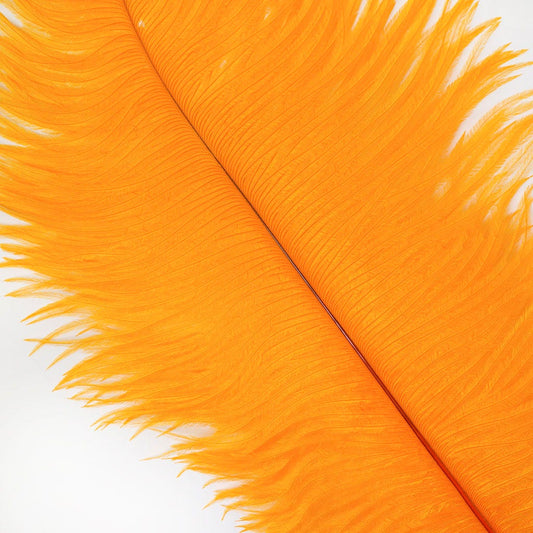 Large Ostrich Feathers - 17"+ Drabs - Mango