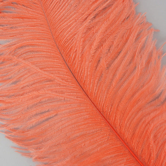 Large Ostrich Feathers - 17"+ Drabs - Hot Orange