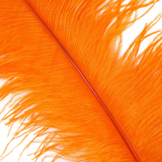 Large Ostrich Feathers - 17"+ Drabs - Orange