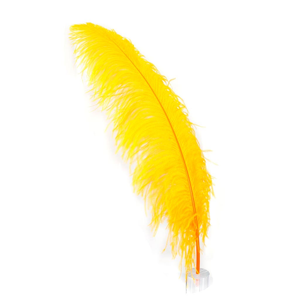 Large Ostrich Feathers - 24-30" Prime Femina Plumes - Mango