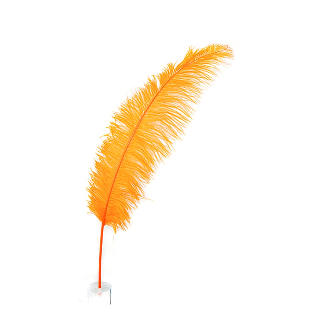 Large Ostrich Feathers - 18-24" Spads - Orange