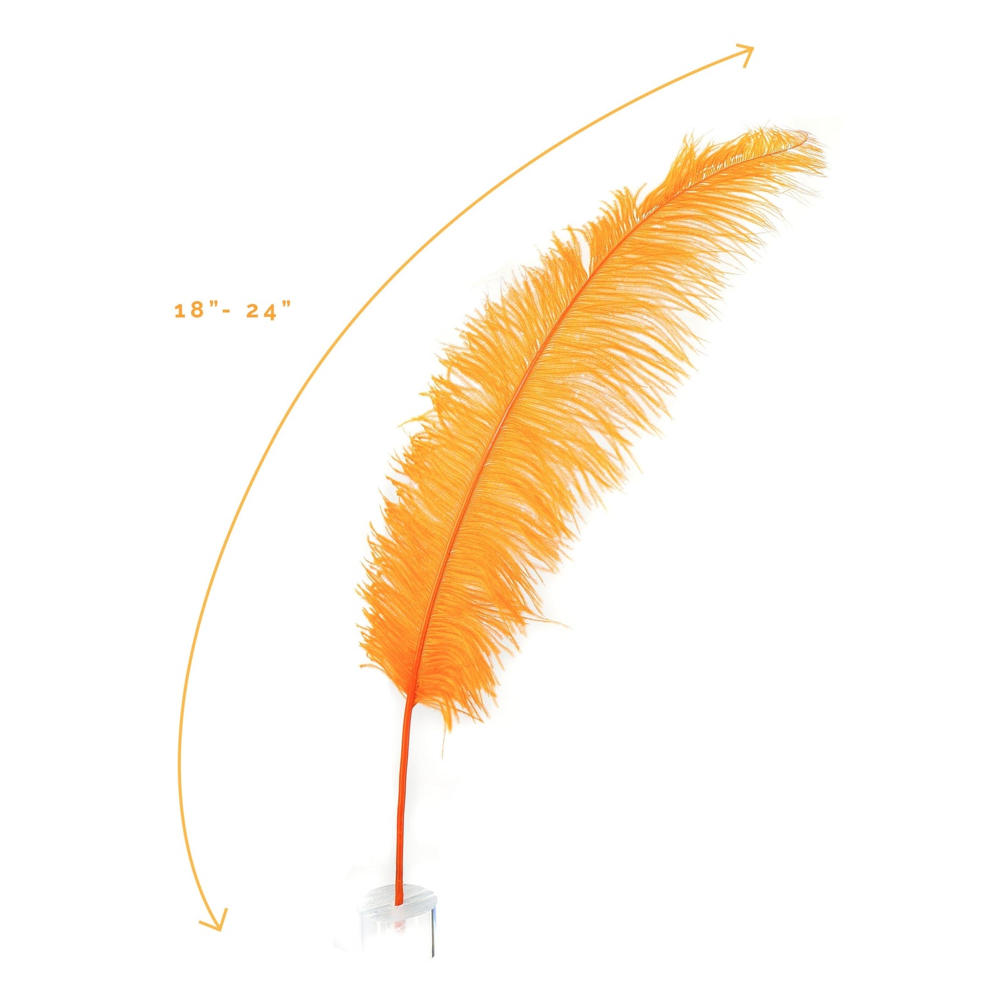 Large Ostrich Feathers - 18-24" Spads - Orange