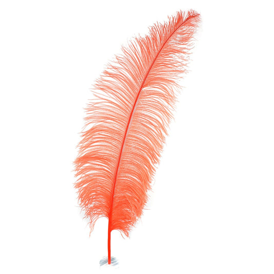 Large Ostrich Feathers - 18-24" Spads - Hot Orange