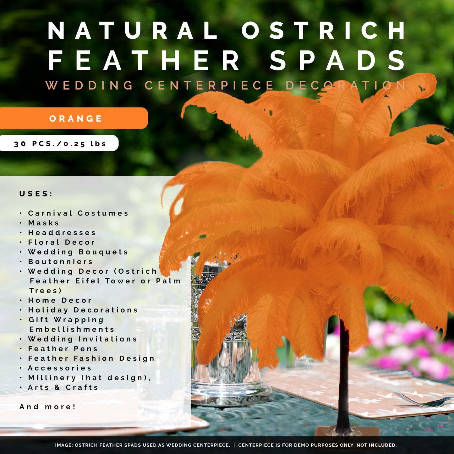 Large Ostrich Feathers - 18-24" Spads - Orange