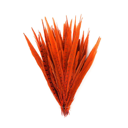 Bulk Assorted Pheasant Tails Dyed - Orange