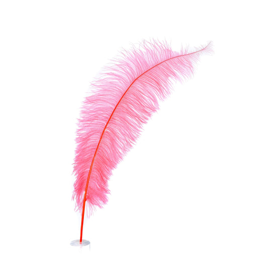 Large Ostrich Feathers - 18-24" Spads - Coral