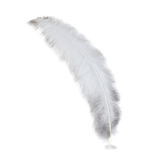 Large Ostrich Feathers - 18-24" Spads - Natural