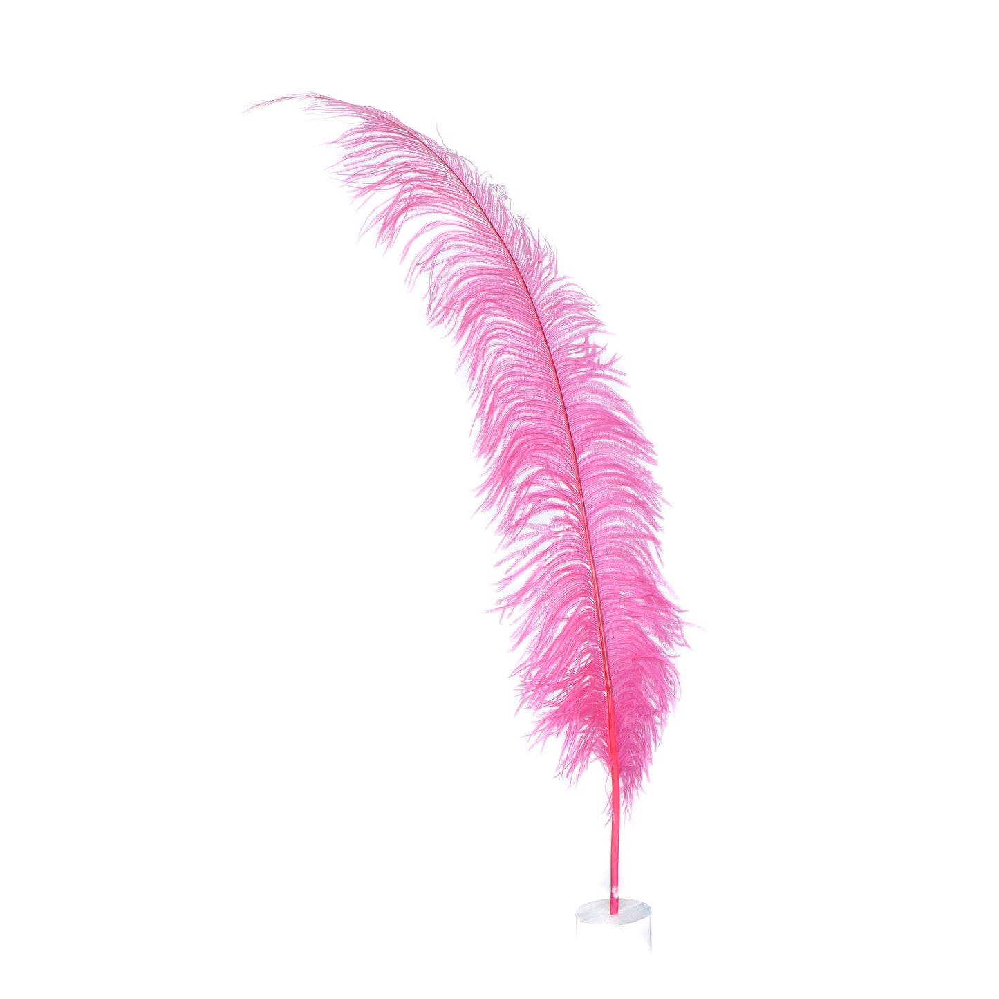 Large Ostrich Feathers - 18-24" Spads - Pink Orient